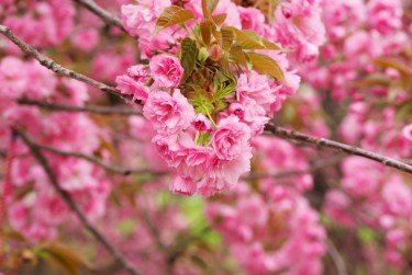 湖州南浔区1线下个人借款平台一站式服务，轻松解决资金难题