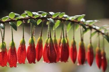 湖州南浔区1零用贷短借：轻松解决临时资金需求