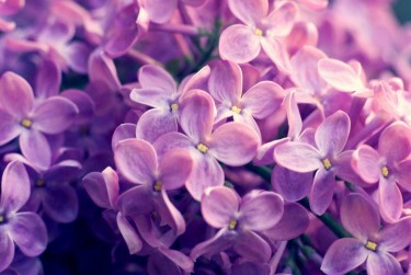 湖州南浔区1企业急用钱贷款攻略：快速融资解燃眉之急